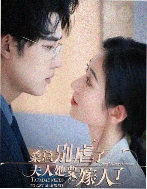 雾港档案 免费看美剧高分剧集封面